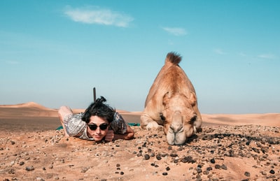 躺在地上的人和骆驼